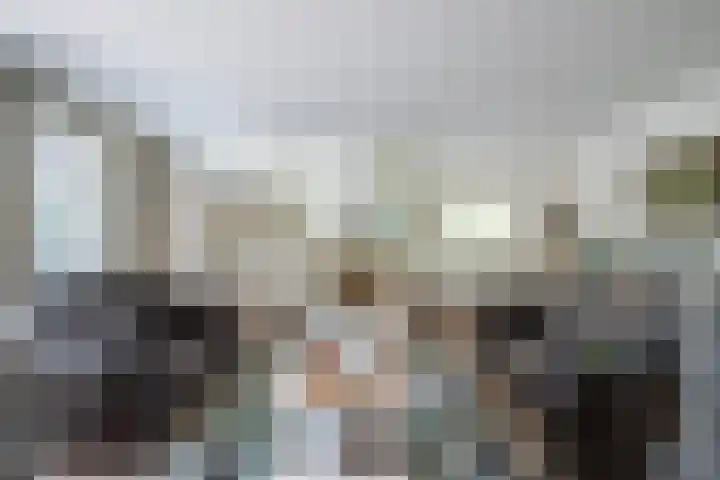 Zilvermeeuw 31 Lathum thumbnail 21