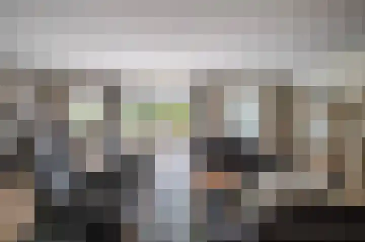 Zilvermeeuw 31 Lathum thumbnail 22