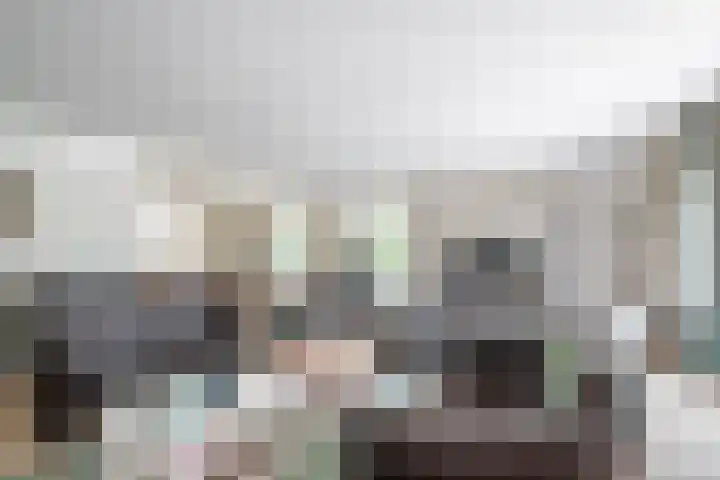 Zilvermeeuw 31 Lathum thumbnail 23
