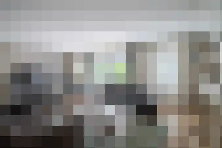 Zilvermeeuw 31 Lathum thumbnail 24
