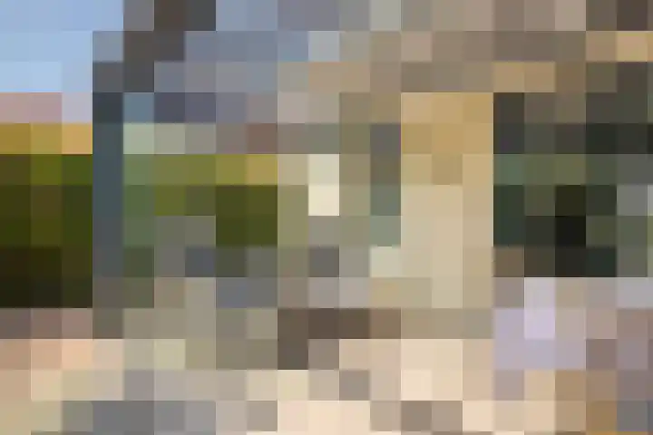 Zilvermeeuw 31 Lathum thumbnail 26