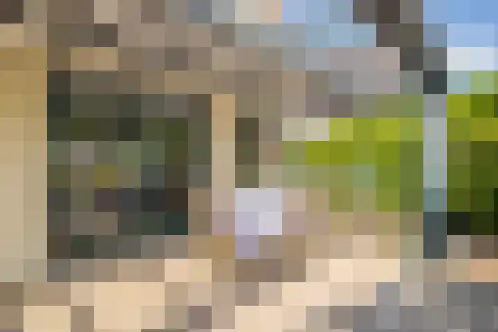 Zilvermeeuw 31 Lathum thumbnail 27
