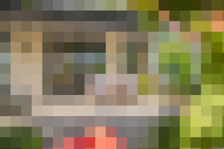 Zilvermeeuw 31 Lathum thumbnail 28