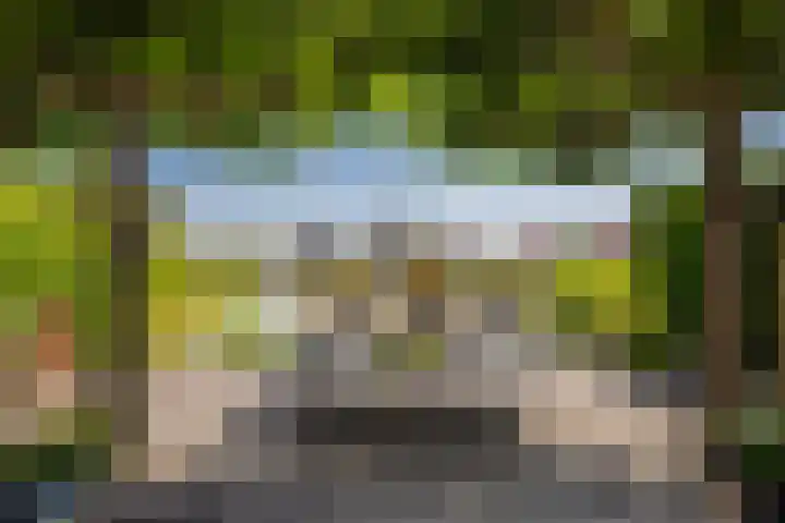 Zilvermeeuw 31 Lathum thumbnail 29
