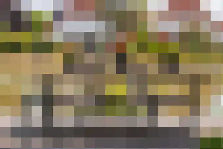Zilvermeeuw 31 Lathum thumbnail 30