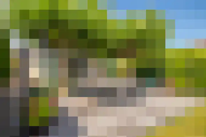 Zilvermeeuw 31 Lathum thumbnail 34