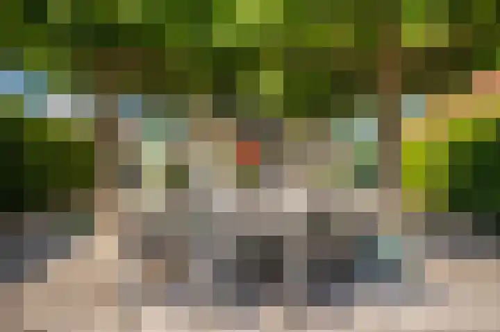 Zilvermeeuw 31 Lathum thumbnail 35
