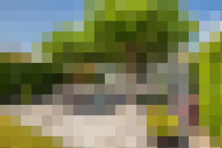 Zilvermeeuw 31 Lathum thumbnail 36