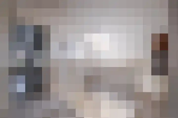 Zilvermeeuw 31 Lathum thumbnail 38