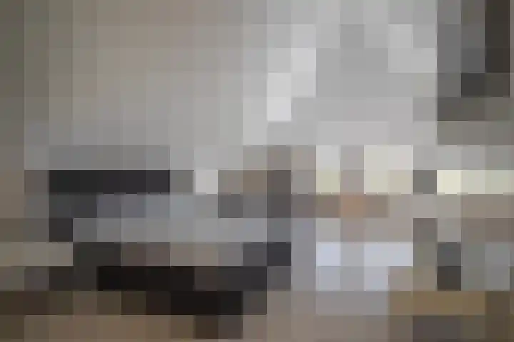 Zilvermeeuw 31 Lathum thumbnail 39