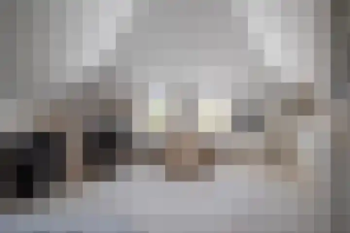 Zilvermeeuw 31 Lathum thumbnail 40