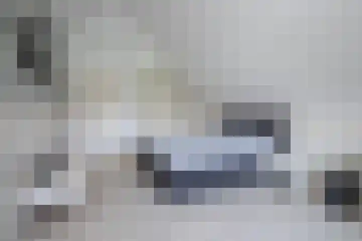 Zilvermeeuw 31 Lathum thumbnail 41