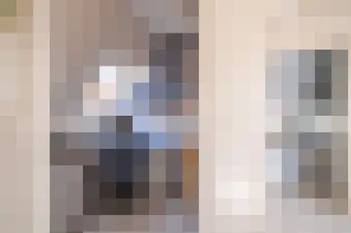 Zilvermeeuw 31 Lathum thumbnail 44