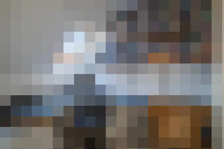 Zilvermeeuw 31 Lathum thumbnail 45