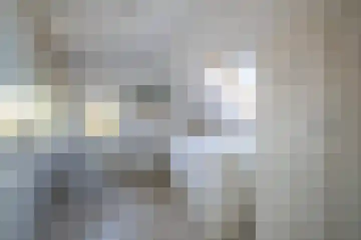 Zilvermeeuw 31 Lathum thumbnail 46