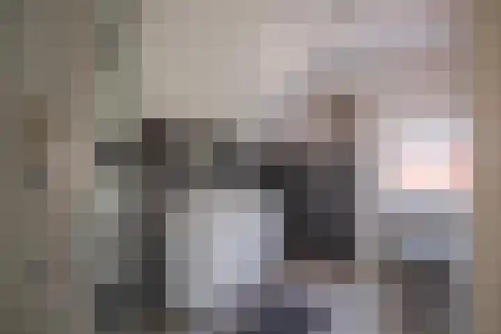 Zilvermeeuw 31 Lathum thumbnail 47