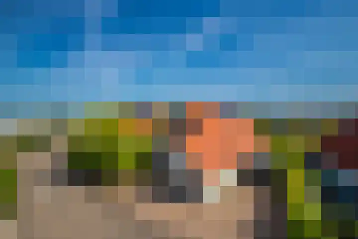 Zilvermeeuw 31 Lathum thumbnail 5