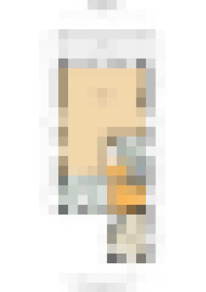 Zilvermeeuw 31 Lathum thumbnail 52