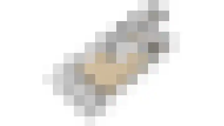 Zilvermeeuw 31 Lathum thumbnail 53