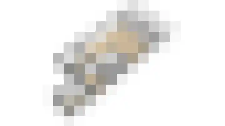 Zilvermeeuw 31 Lathum thumbnail 54