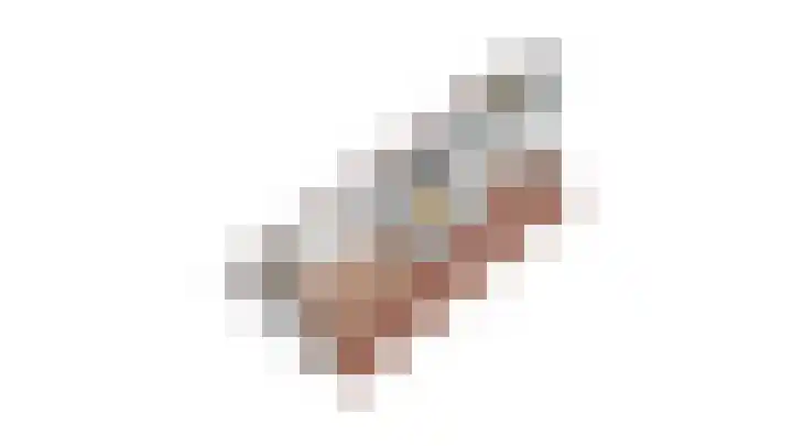 Zilvermeeuw 31 Lathum thumbnail 56
