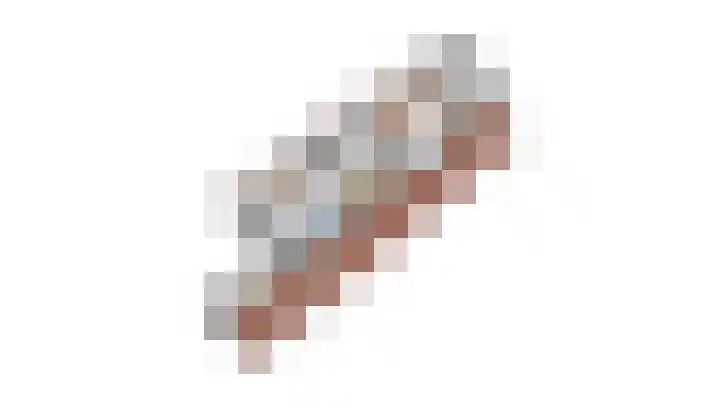 Zilvermeeuw 31 Lathum thumbnail 57