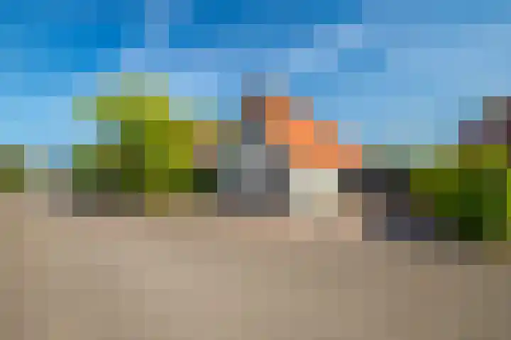 Zilvermeeuw 31 Lathum thumbnail 6