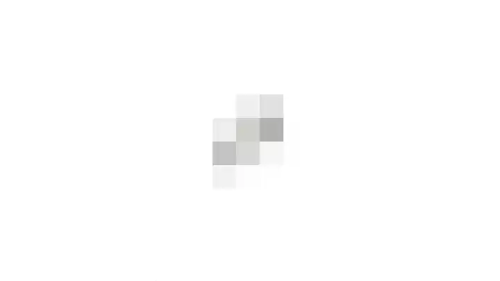 Zilvermeeuw 31 Lathum thumbnail 62