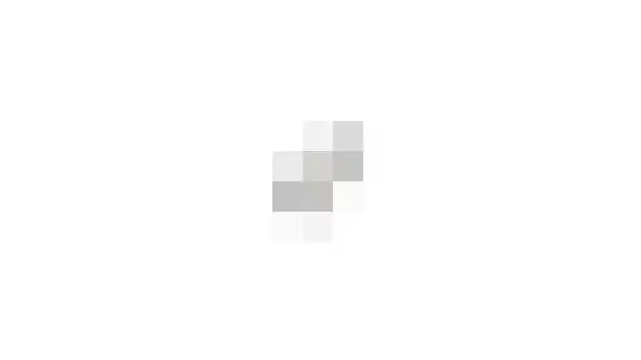 Zilvermeeuw 31 Lathum thumbnail 63