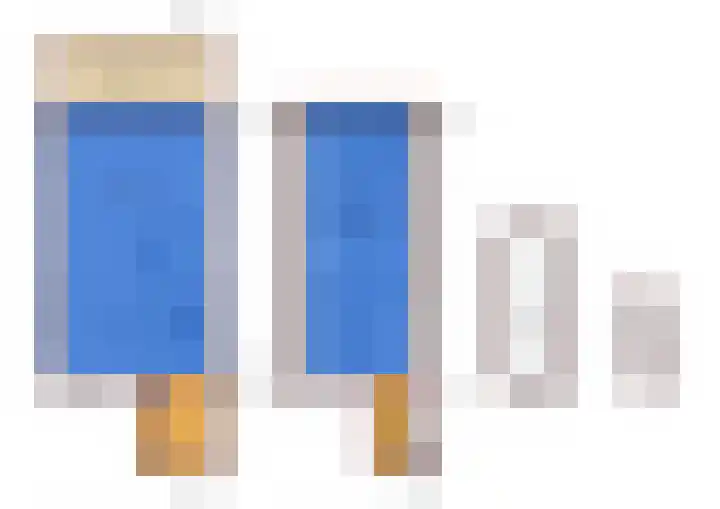 Zilvermeeuw 31 Lathum thumbnail 64