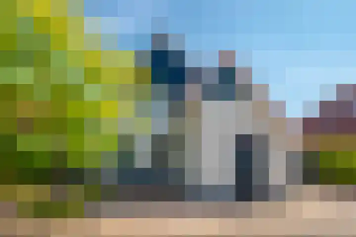 Zilvermeeuw 31 Lathum thumbnail 66