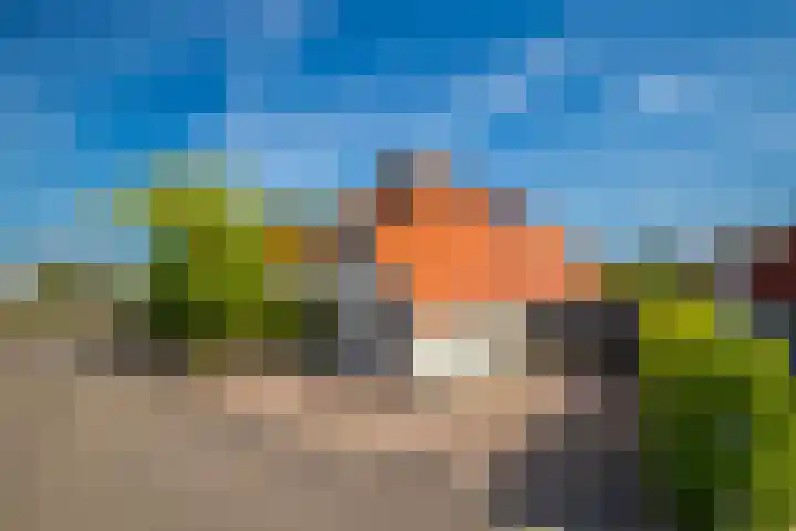 Zilvermeeuw 31 Lathum thumbnail 7