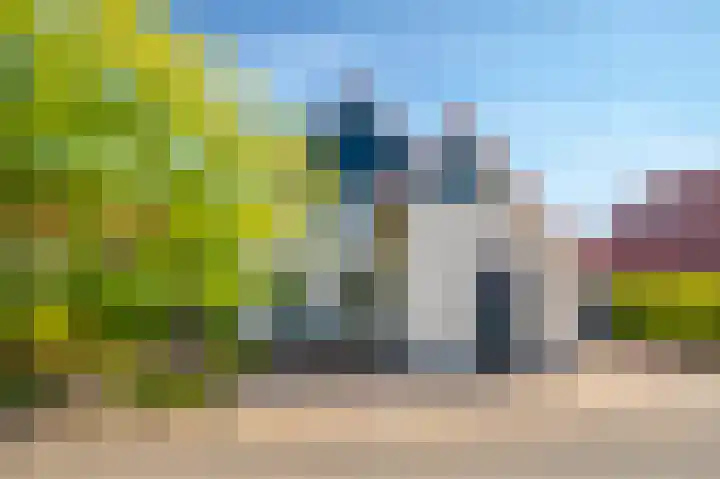 Zilvermeeuw 31 Lathum thumbnail 8