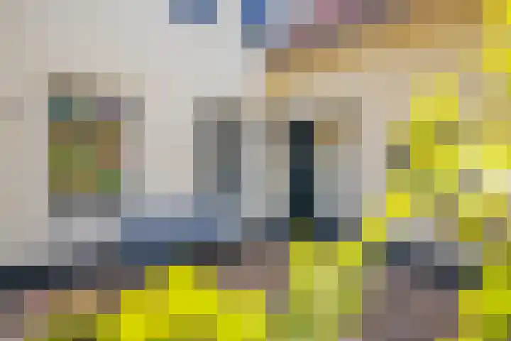 Zilvermeeuw 31 Lathum thumbnail 9