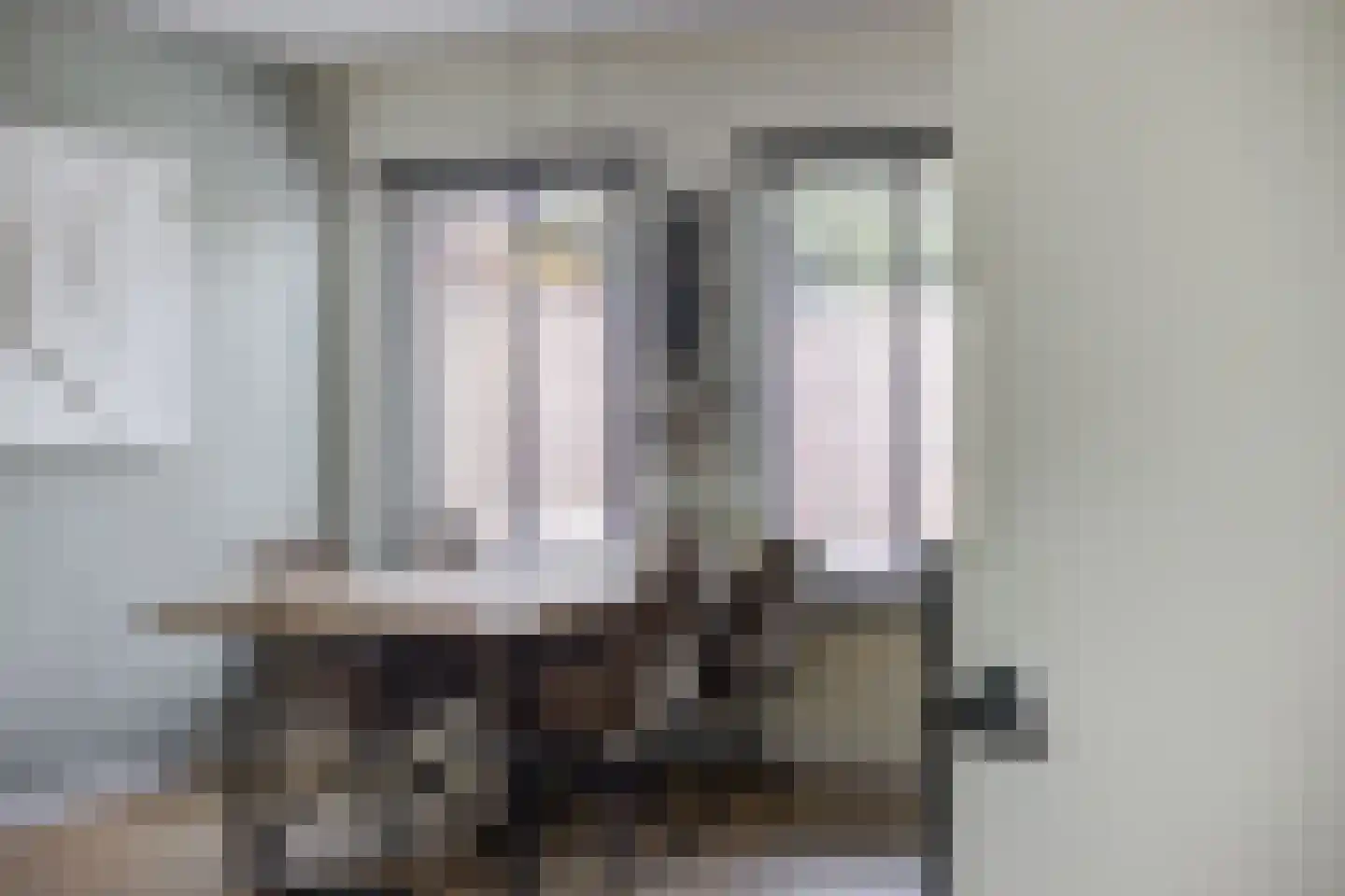Zilvermeeuw 33 Etten-Leur thumbnail 12