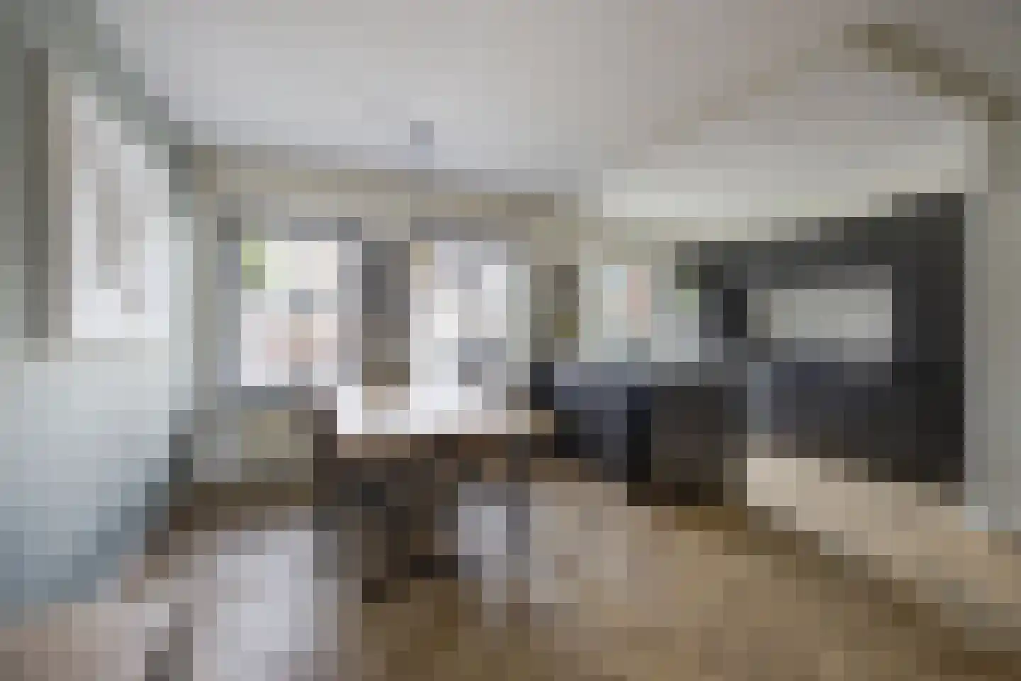 Zilvermeeuw 33 Etten-Leur thumbnail 13
