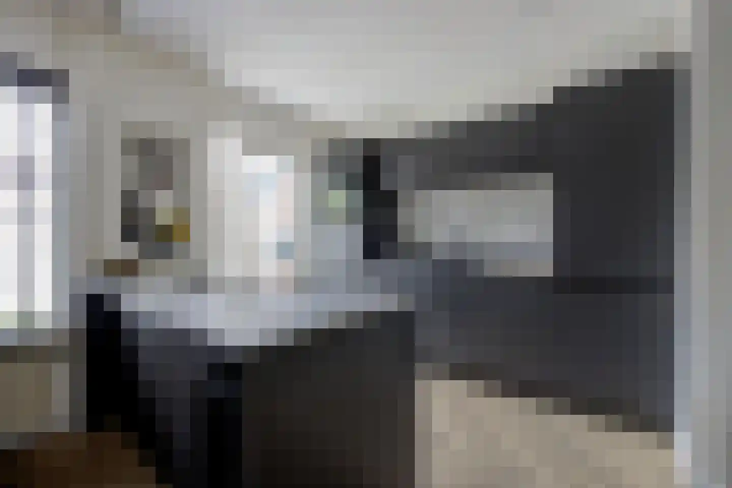 Zilvermeeuw 33 Etten-Leur thumbnail 15
