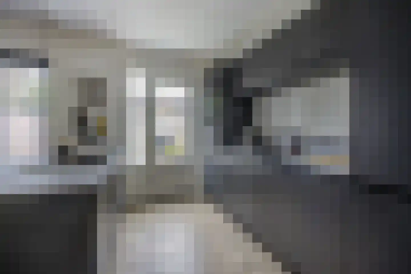 Zilvermeeuw 33 Etten-Leur thumbnail 16