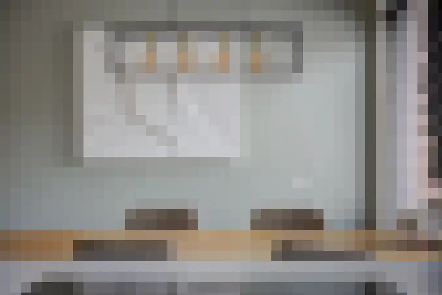 Zilvermeeuw 33 Etten-Leur thumbnail 18