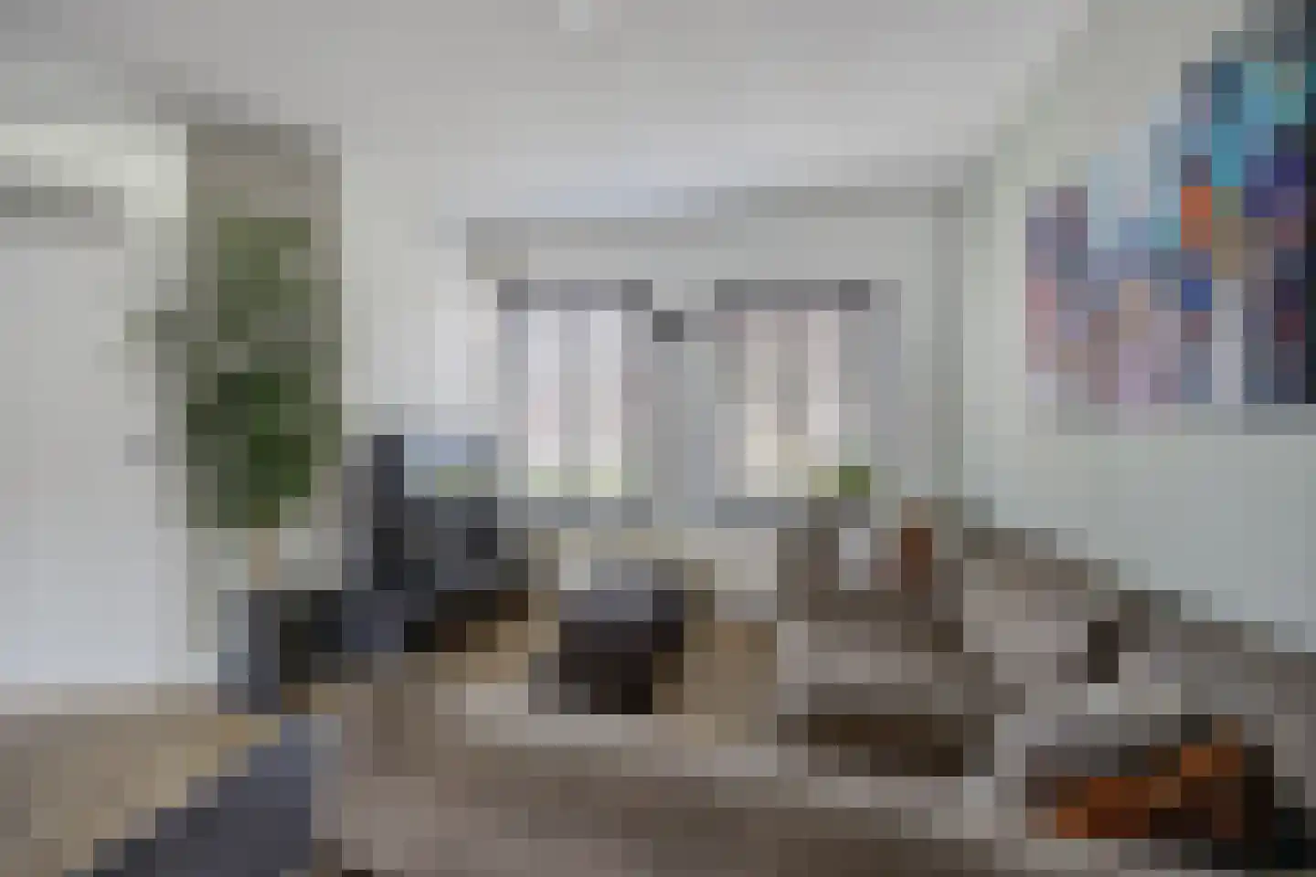 Zilvermeeuw 33 Etten-Leur foto 2