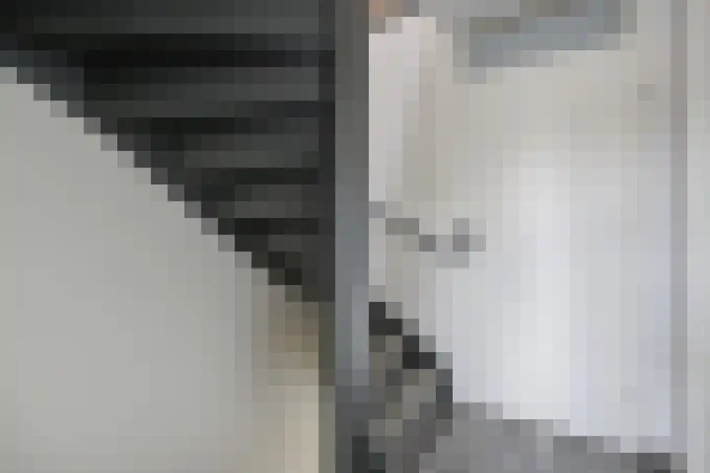 Zilvermeeuw 33 Etten-Leur thumbnail 20
