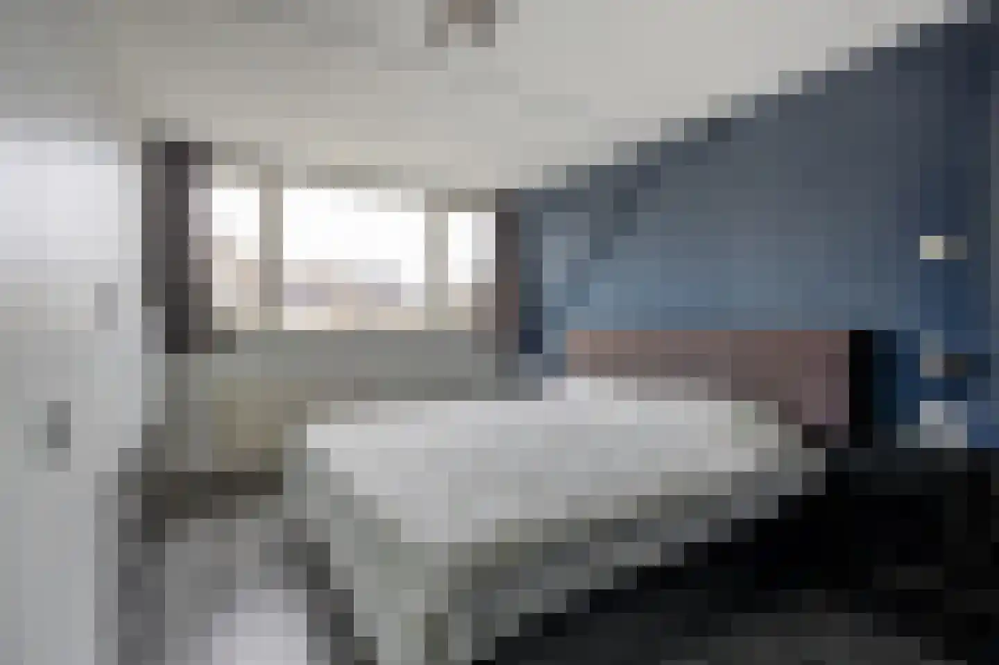 Zilvermeeuw 33 Etten-Leur thumbnail 22