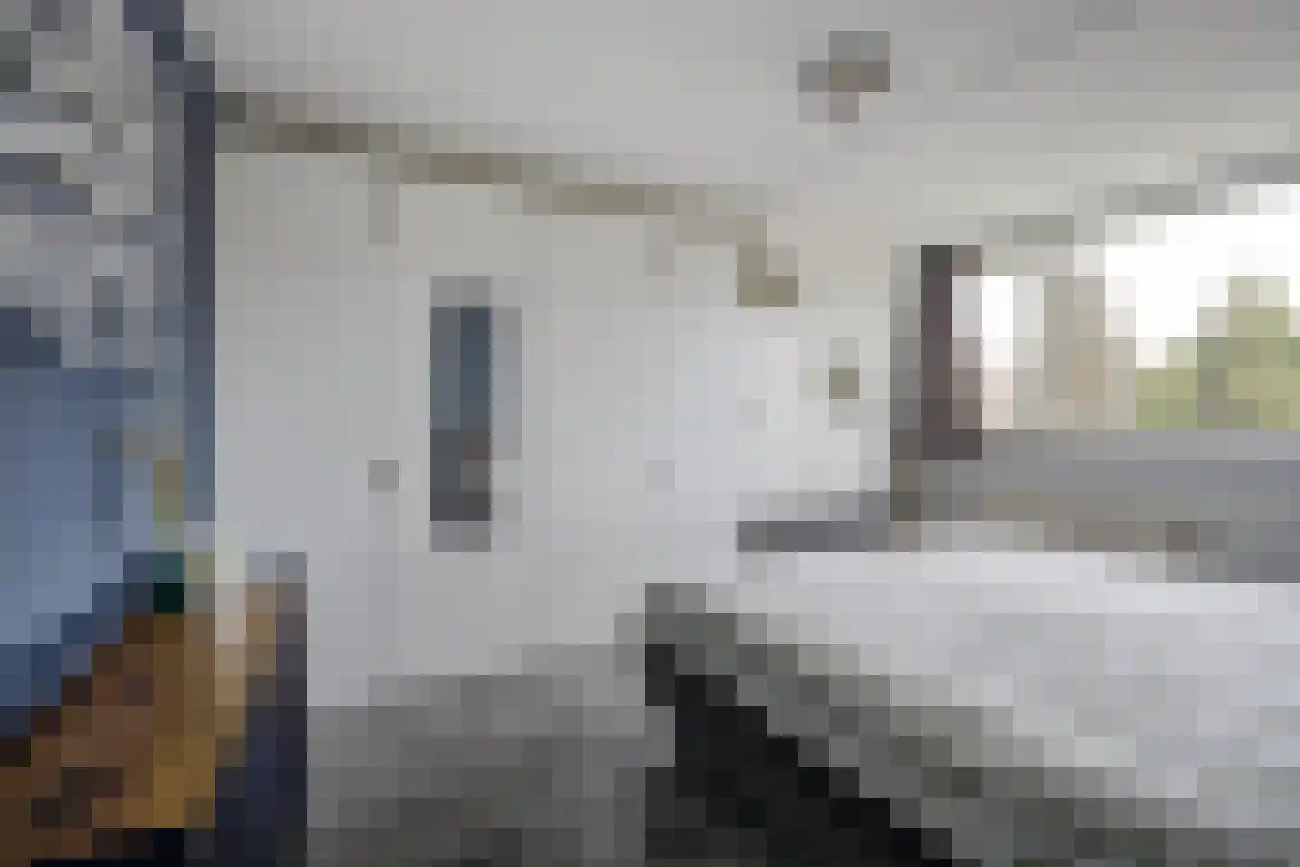 Zilvermeeuw 33 Etten-Leur thumbnail 23