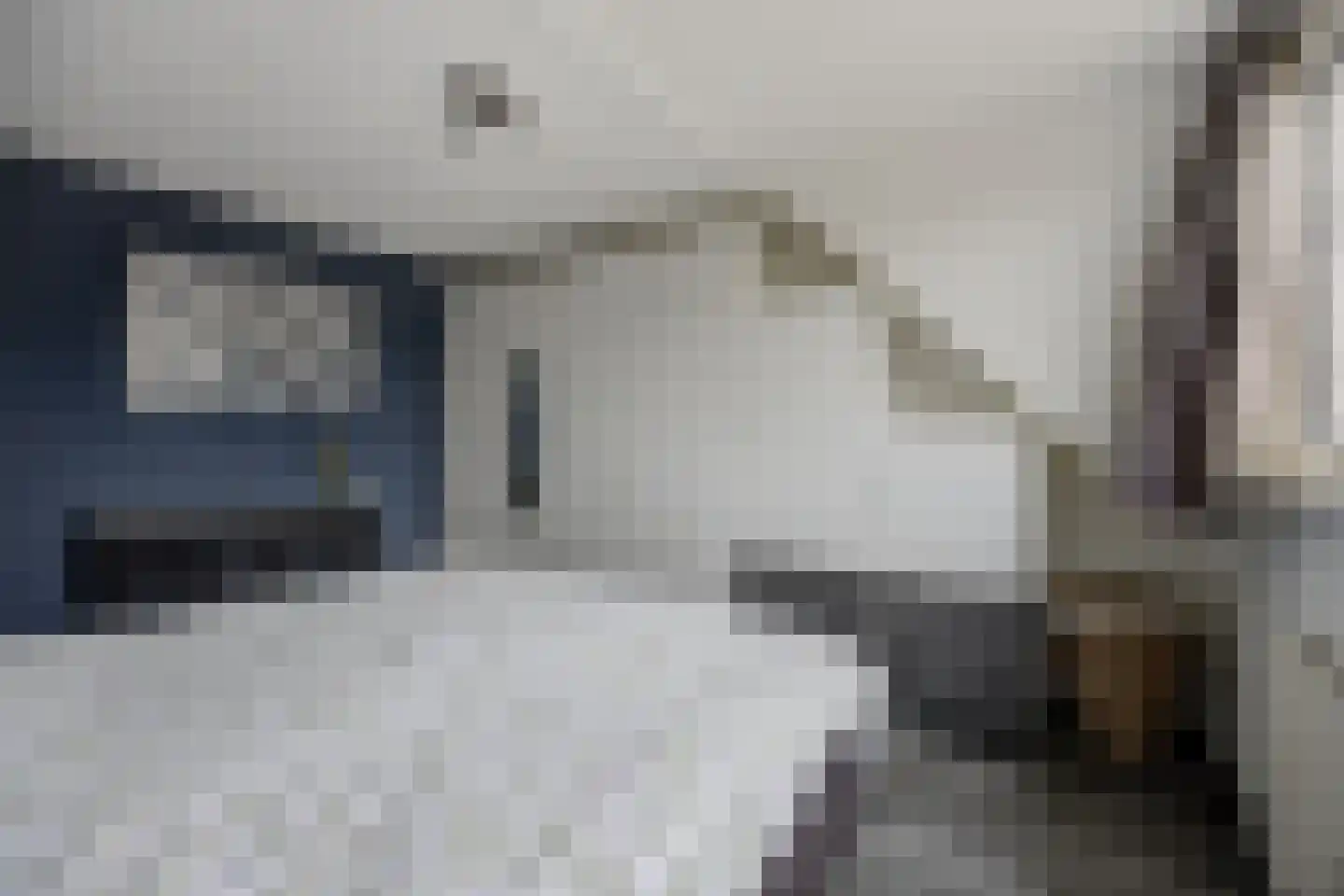 Zilvermeeuw 33 Etten-Leur thumbnail 24