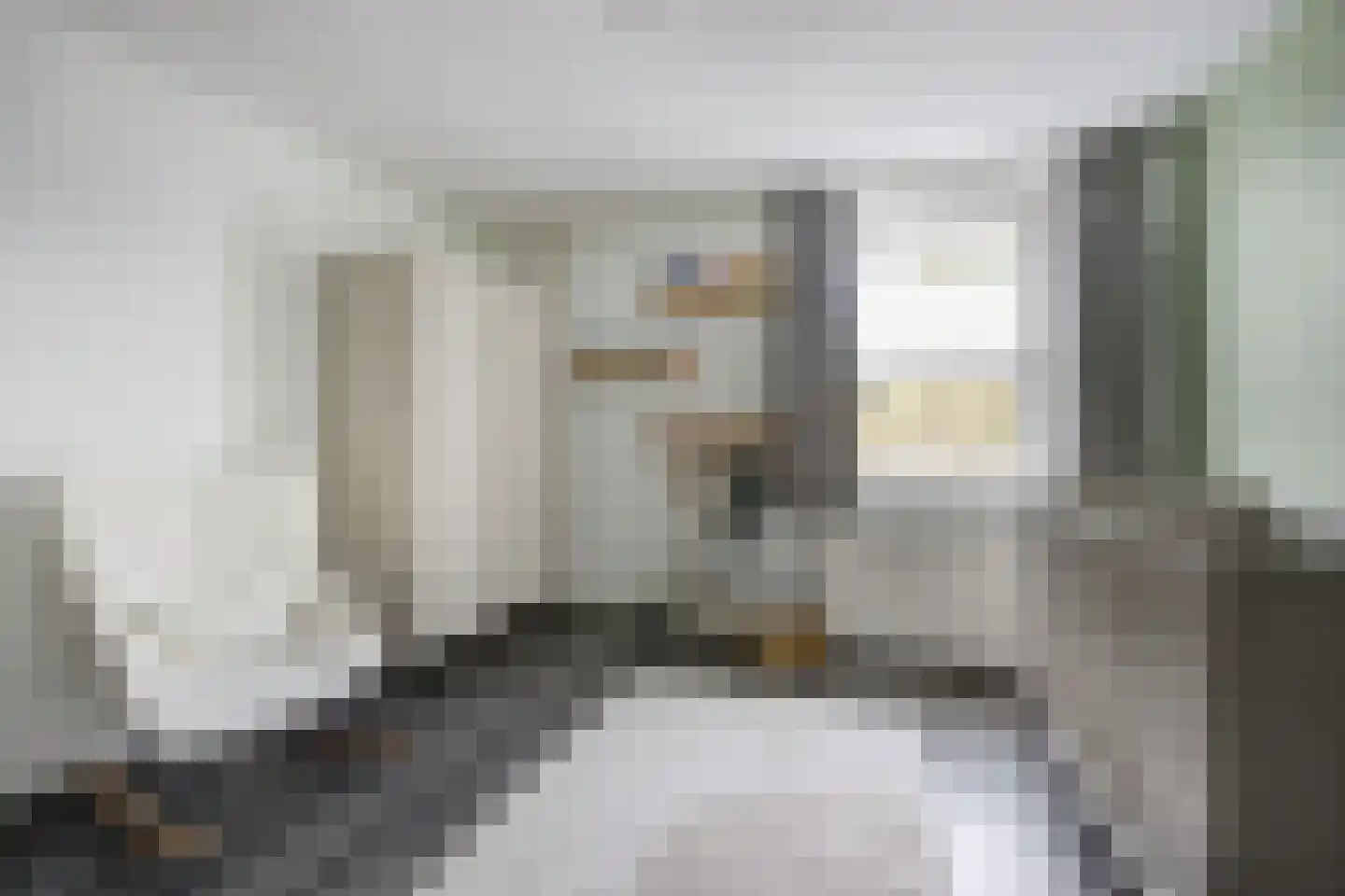 Zilvermeeuw 33 Etten-Leur thumbnail 25