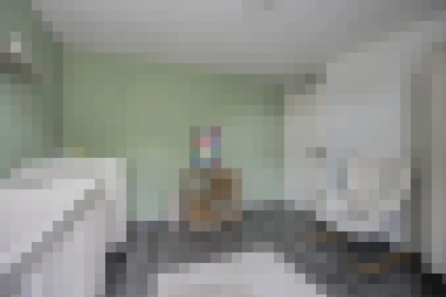 Zilvermeeuw 33 Etten-Leur thumbnail 27