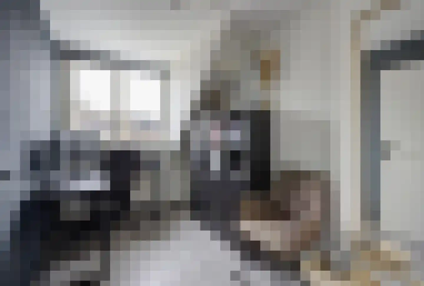 Zilvermeeuw 33 Etten-Leur thumbnail 28
