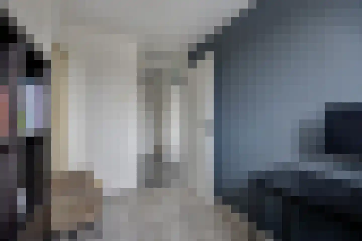Zilvermeeuw 33 Etten-Leur thumbnail 29