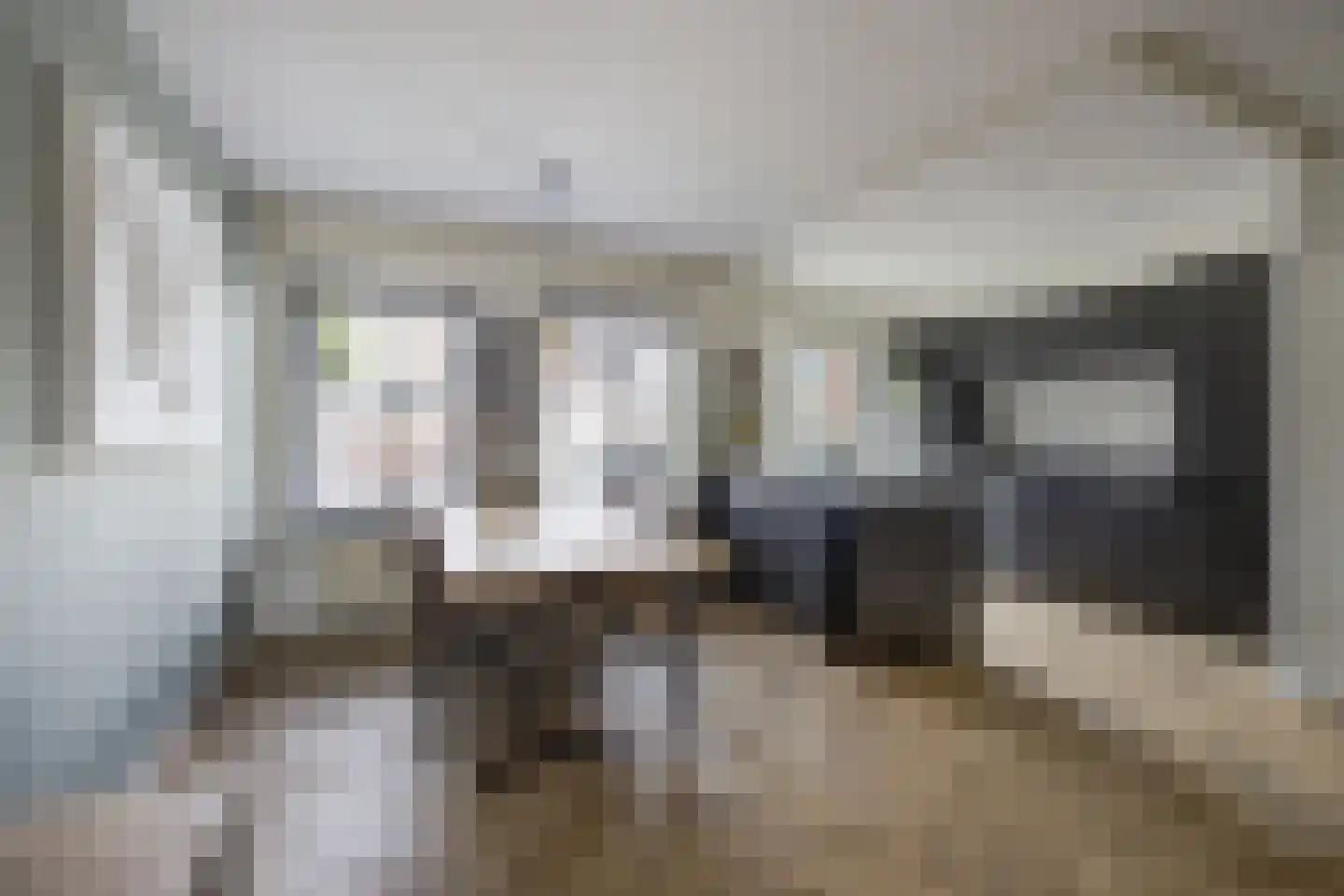 Zilvermeeuw 33 Etten-Leur foto 3