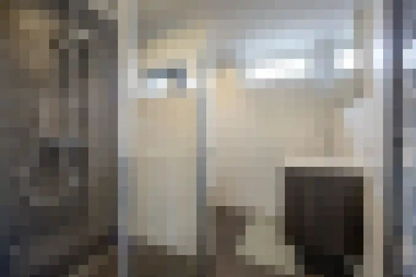 Zilvermeeuw 33 Etten-Leur thumbnail 31